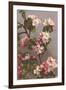 Apple Blossoms-null-Framed Art Print