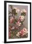 Apple Blossoms-null-Framed Art Print