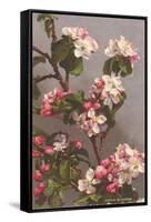 Apple Blossoms-null-Framed Stretched Canvas