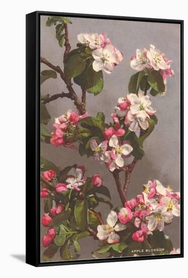 Apple Blossoms-null-Framed Stretched Canvas