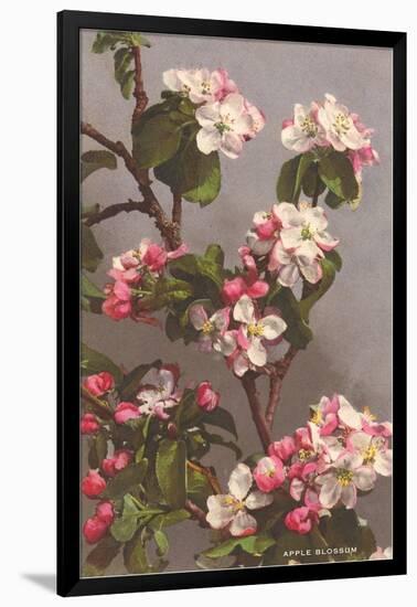 Apple Blossoms-null-Framed Art Print