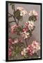 Apple Blossoms-null-Framed Art Print