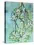 Apple Blossoms-Ann Tygett Jones Studio-Stretched Canvas