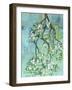 Apple Blossoms-Ann Tygett Jones Studio-Framed Giclee Print