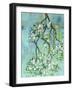 Apple Blossoms-Ann Tygett Jones Studio-Framed Giclee Print