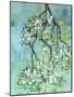 Apple Blossoms-Ann Tygett Jones Studio-Mounted Giclee Print