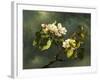 Apple Blossoms-Martin Johnson Heade-Framed Giclee Print