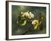 Apple Blossoms-Martin Johnson Heade-Framed Giclee Print