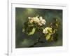 Apple Blossoms-Martin Johnson Heade-Framed Giclee Print