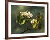 Apple Blossoms-Martin Johnson Heade-Framed Giclee Print