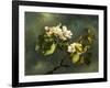 Apple Blossoms-Martin Johnson Heade-Framed Giclee Print