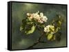 Apple Blossoms-Martin Johnson Heade-Framed Stretched Canvas