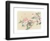 Apple Blossoms-unknown unknown-Framed Art Print