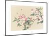 Apple Blossoms-unknown unknown-Mounted Art Print