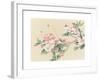 Apple Blossoms-unknown unknown-Framed Art Print