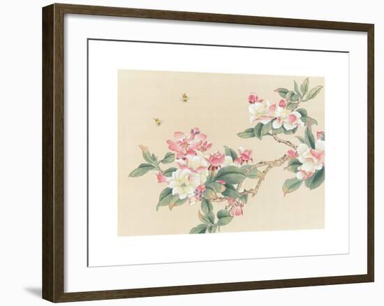 Apple Blossoms-unknown unknown-Framed Art Print