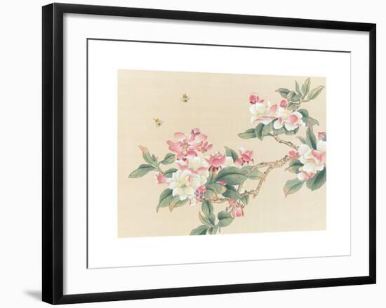 Apple Blossoms-unknown unknown-Framed Art Print