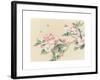 Apple Blossoms-unknown unknown-Framed Art Print