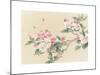 Apple Blossoms-unknown unknown-Mounted Art Print