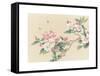 Apple Blossoms-unknown unknown-Framed Stretched Canvas