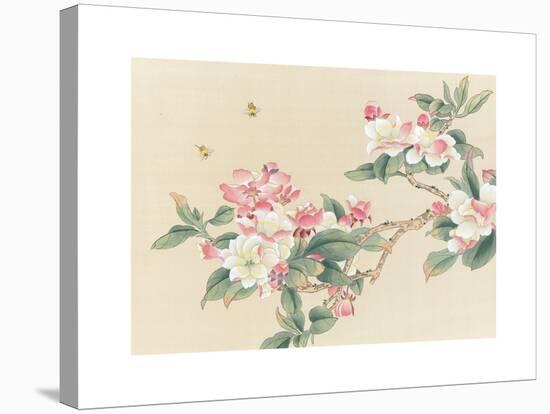 Apple Blossoms-unknown unknown-Stretched Canvas