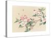Apple Blossoms-unknown unknown-Stretched Canvas