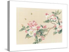 Apple Blossoms-unknown unknown-Stretched Canvas