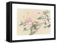 Framed Canvas