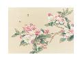 Just the Print