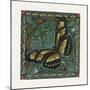 Apple Butterfly Tile-Michele Meissner-Mounted Giclee Print