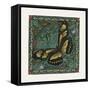 Apple Butterfly Tile-Michele Meissner-Framed Stretched Canvas