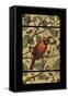 Apple Cardinal-Michele Meissner-Framed Stretched Canvas