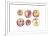 Apple Collective-Kristine Hegre-Framed Giclee Print