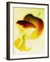 Apple Core-Jo Kirchherr-Framed Photographic Print