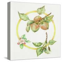 Apple Cycle-Deborah Kopka-Stretched Canvas