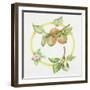 Apple Cycle-Deborah Kopka-Framed Giclee Print