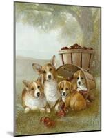 Apple Dumpling-Ruane Manning-Mounted Art Print