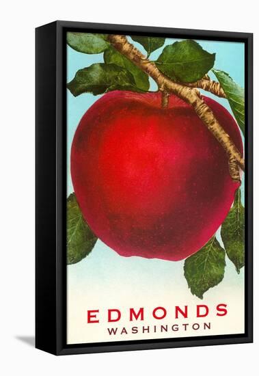 Apple, Edmonds, Washington-null-Framed Stretched Canvas