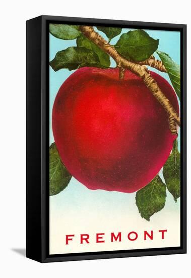 Apple, Fremont, Washington-null-Framed Stretched Canvas