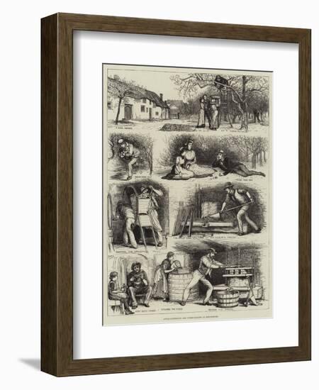 Apple-Gathering and Cider-Making in Devonshire-Francis S. Walker-Framed Giclee Print