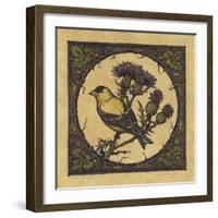 Apple Grossbeak Bird-Michele Meissner-Framed Giclee Print