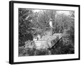 Apple Harvest, Yakima Valley, 1915-Ashael Curtis-Framed Giclee Print