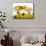 Apple Harvest-Beta757-Mounted Art Print displayed on a wall