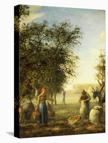 Apple Harvest-Jean-François Millet-Stretched Canvas