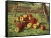 Apple Harvest-Karl Vikas-Framed Stretched Canvas