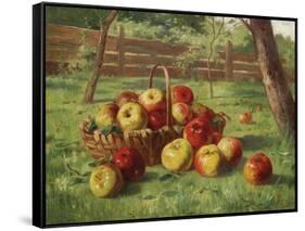 Apple Harvest-Karl Vikas-Framed Stretched Canvas