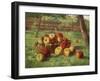 Apple Harvest-Karl Vikas-Framed Giclee Print