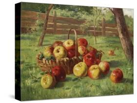 Apple Harvest-Karl Vikas-Stretched Canvas