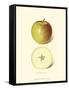 Apple I-null-Framed Stretched Canvas