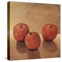 Apple III-Tim O'toole-Stretched Canvas